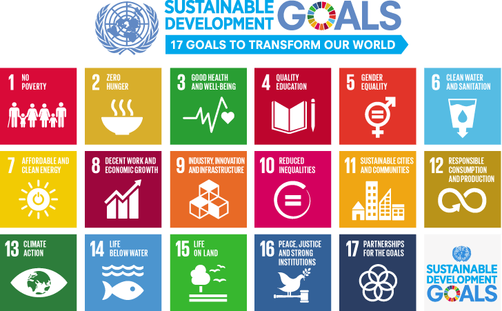 The UN 17 Sustainable Development Goals overview